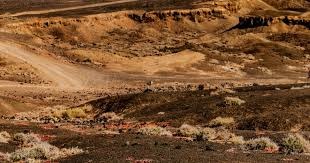 [德甲]第17轮：拜仁慕尼黑VS霍芬海姆